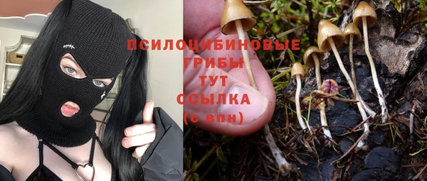 герыч Арсеньев